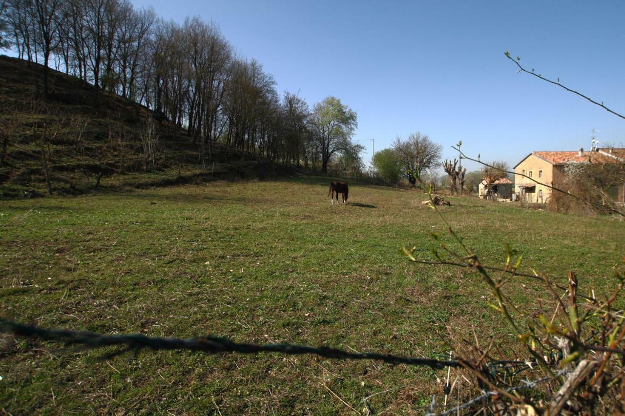 Agriturismo "La Fondazza" Imola Extérieur photo