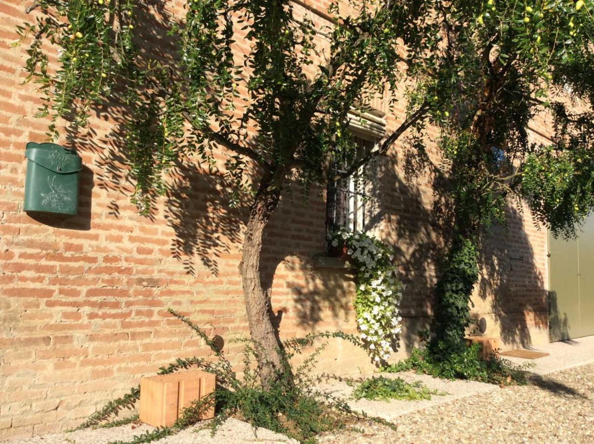 Agriturismo "La Fondazza" Imola Extérieur photo